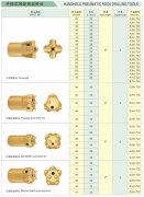 Cross Bit